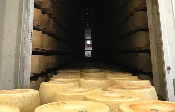     Magazzini Generali Fiduciari di Mantova

